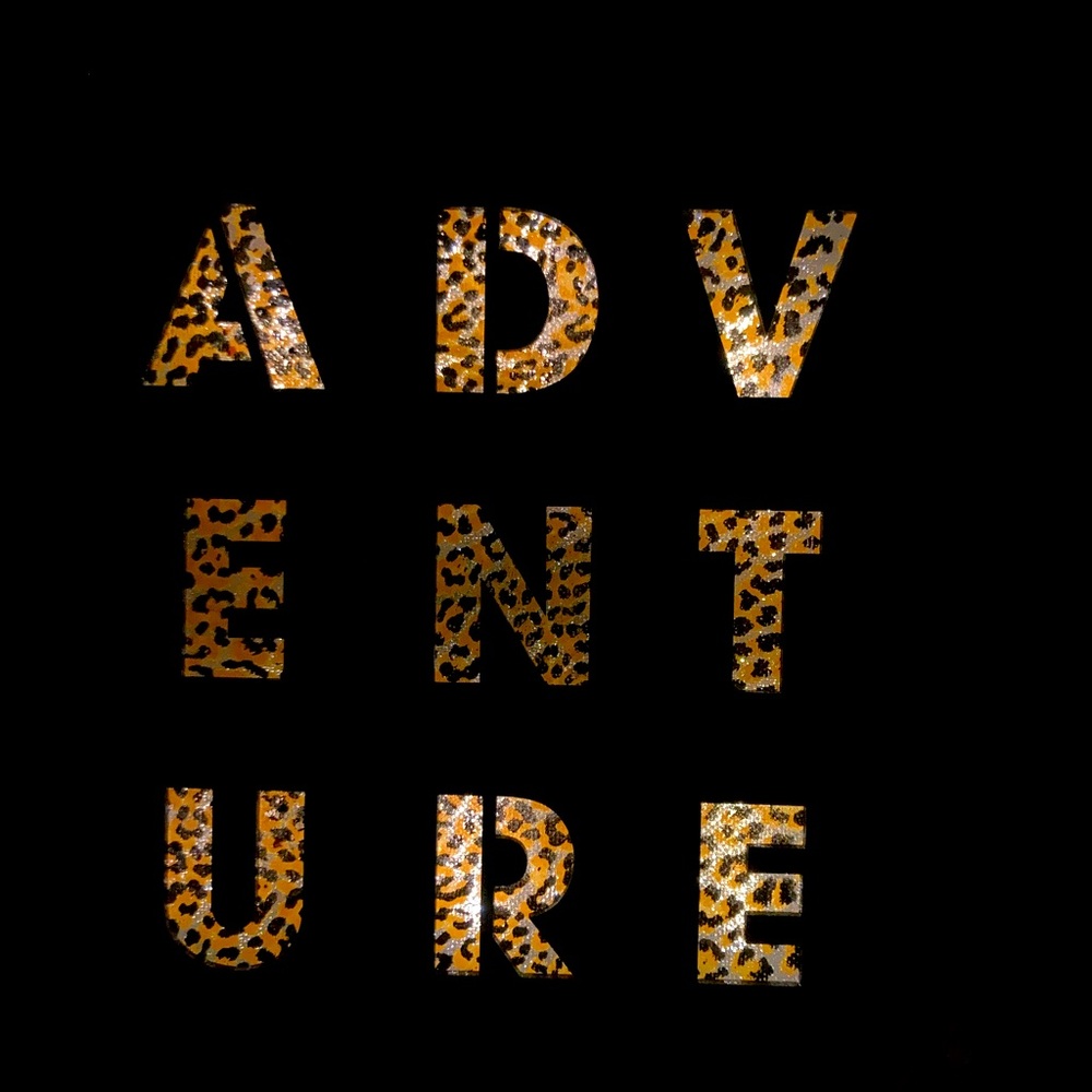 Cheetah print LIGHT up wooden teenager/girl sign
